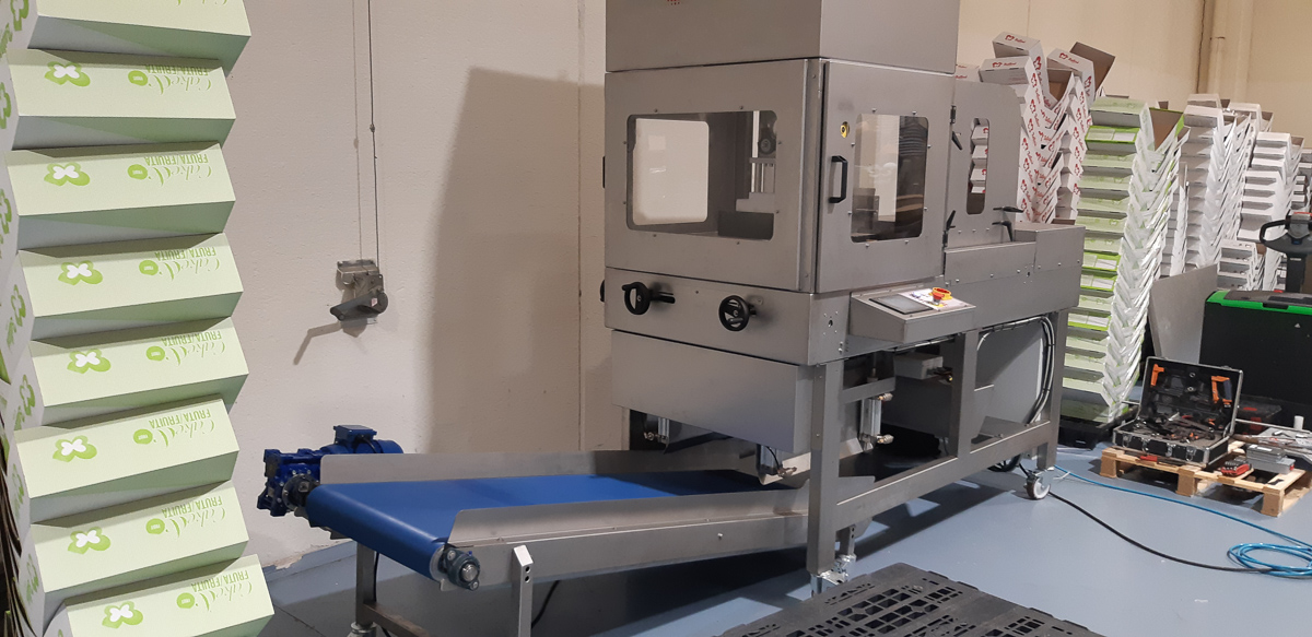 FORMADORA DE CAJAS PRODISTEK FORMADORA DE CAJAS PRODISTEK